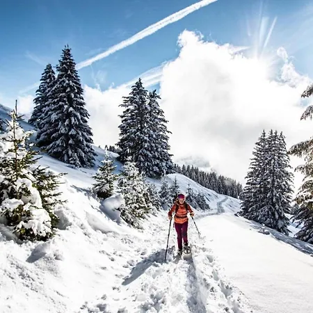 Biches Bib31 Mountain & Quiet 4 Pers شقة