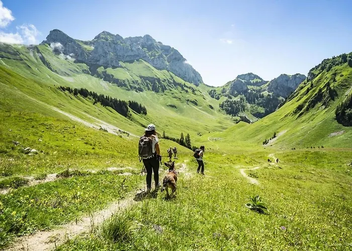 Biches Bib31 Mountain & Quiet 4 Pers *